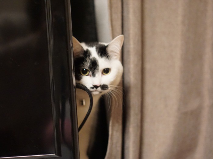 「お客さん長居してるわね」