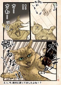お腹を見せて寝ころんでいたのに、触ったら急にキレるキジネコ様　©Uguisu Utako