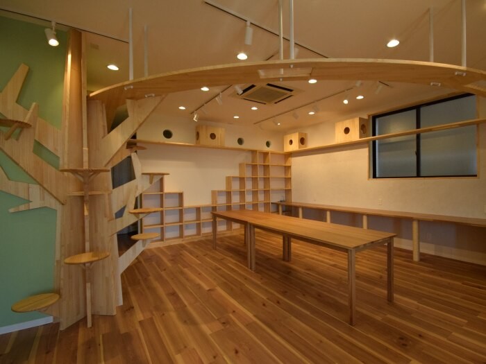 トレッタオフィスの様子。就業中は「人間社員」でにぎやかだが、夜になると猫社員たちがのびのび暮らす「社員寮」に！