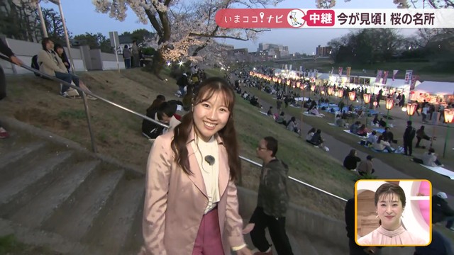 約250本のソメイヨシノが見頃　旭川河川敷「岡山さくらカーニバル」にぎわう【いまココ！ナビ】