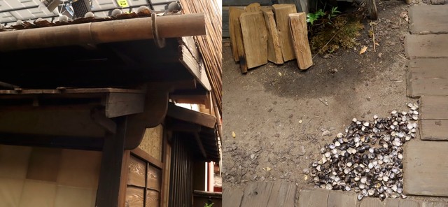 雨どいの真下には、水捌けのためにしじみを撒いてある