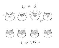 漫画「ガーラさんと夫。こえられぬ壁。」（提供：松本ひで吉さん）