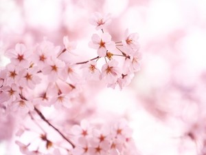 アウェイの世界に飛び込むこと、教員を活用すること――実際の大学生の語りと理論から導いた、大学4年間を無駄にしないためのたった2つの成長の条件。