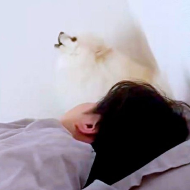 一気に声量が上がり、「ワウ！ ワウ 〜」とコロ太くん（画像提供：コロ太くん）