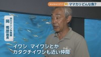 渋川マリン水族館／岡秀彦 館長