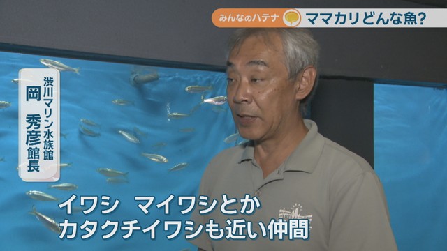 渋川マリン水族館／岡秀彦 館長