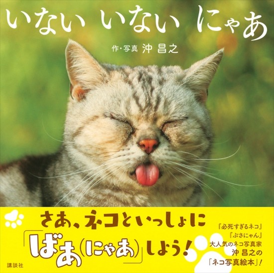 沖さんの夢がかなった「ぶさにゃん先輩。」の表紙（講談社提供）