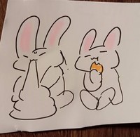 くつろぐ2匹のウサギ（提供：江戸屋薬局@会津若松さん）