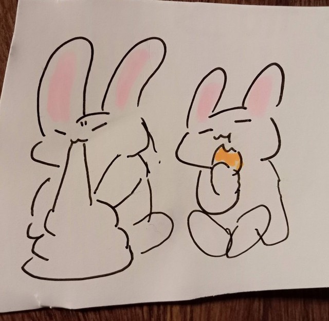 くつろぐ2匹のウサギ（提供：江戸屋薬局@会津若松さん）