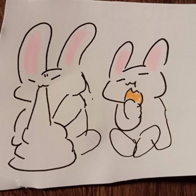 くつろぐ2匹のウサギ（提供：江戸屋薬局@会津若松さん）