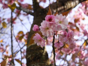 絶対共学派の私だけど、一度だけ女子校が良かったと思ったことがある