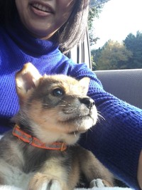 香川からやって来た日。どんな未来が待ち受けているのかドキドキワクワク