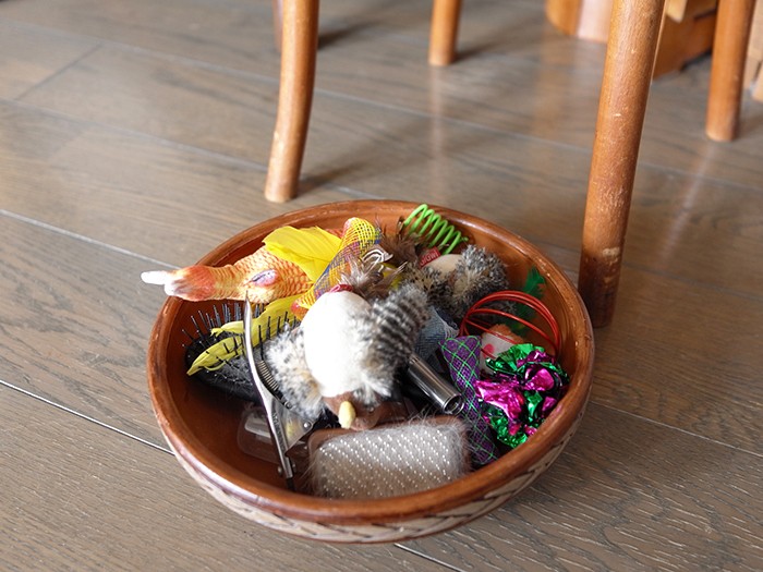 こまおのおもちゃがたくさん！