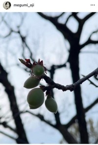 大路恵美インスタグラム＠megumi_ojiより