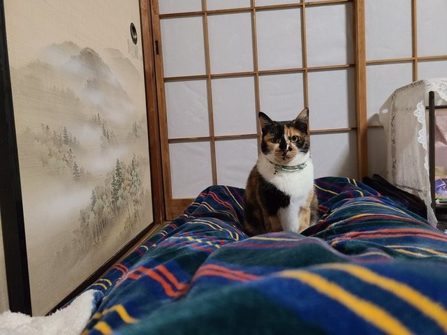 ガンが発覚する前