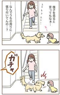 【漫画】『自宅前に居続ける不審な高齢者』9（ゆむいさん提供）