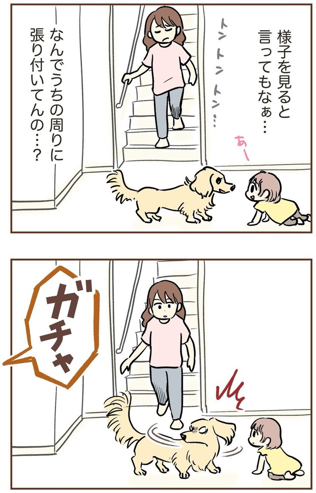 【漫画】『自宅前に居続ける不審な高齢者』9（ゆむいさん提供）
