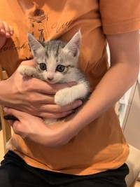 可愛くて家族はメロメロ