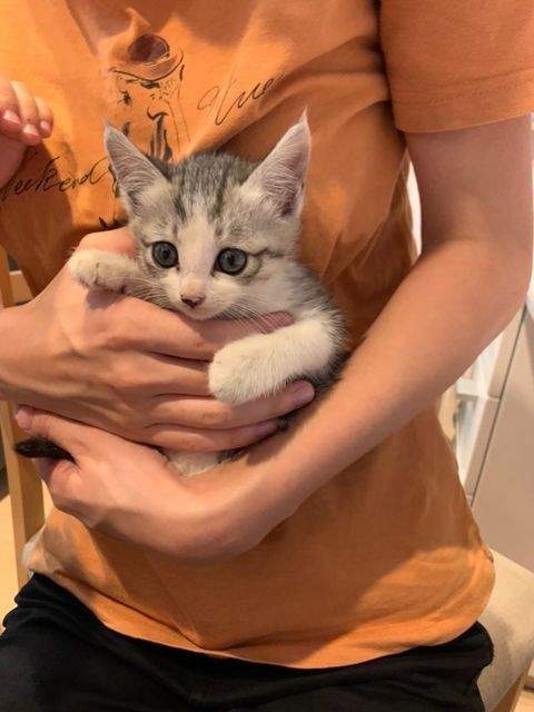 可愛くて家族はメロメロ