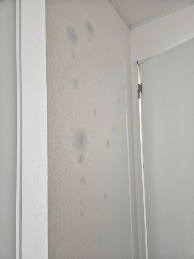 クロスにはっきりわかるようにカビが（億トレ大家さん提供）