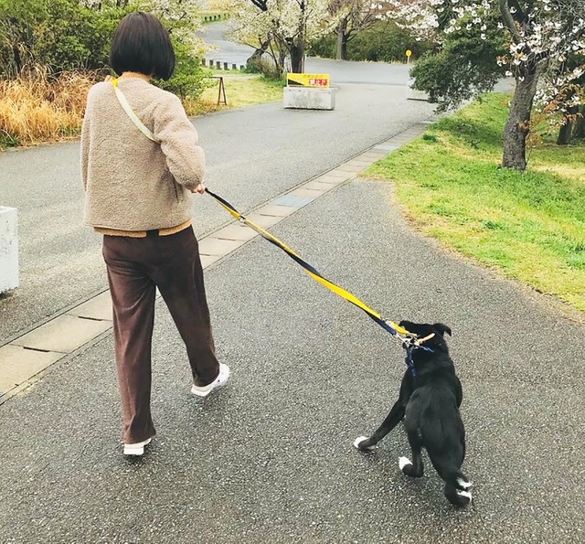 にこまるとの生活で、里親さんは考えを改めるようになったと言います