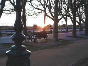 少女漫画が好きで、夢小説にもはまり、妄想癖が止まらず。恋が始まらない