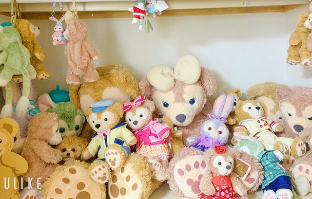 どこにいるのか分かる？＝ポメプーふわちゃんさん（@Fuwancho319）提供