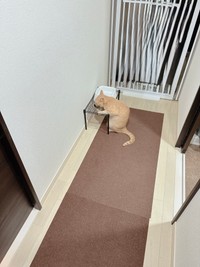 朝イチのルーティンはこの場所で水分補給から（提供：おかかときんぴらさん）
