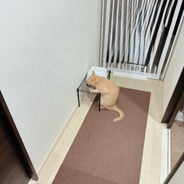 朝イチのルーティンはこの場所で水分補給から（提供：おかかときんぴらさん）
