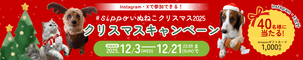 いぬねこクリスマス２０２５
