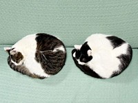 ダブル猫団子！ 仲良く丸まる（左から）しおちゃん、先住猫・むすびくん（画像提供：猫のしお むすび 飼い主はろでさん）