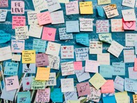 泣き叫んだあの日から学んだのは「言語の持つ力」と「真価」だった