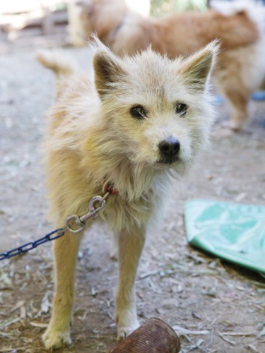 Before　「華」現場レスキュー時