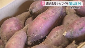 宮城・網地島のサツマイモ　紅はるかを全国へ