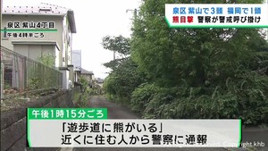 仙台市泉区紫山で熊３頭の目撃　「遊歩道にクマがいる」