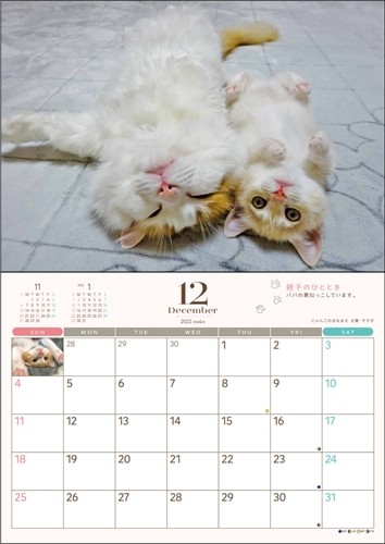 12月、１年を締めくくるへそ天（へそ天プロジェクト提供）