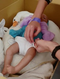 赤ちゃん人形をおむつ替え／ティンさん（@iwa.v0u0v）提供