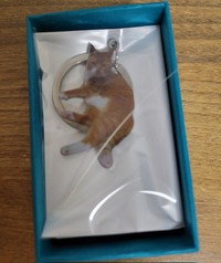 メイちゃんのひげをしまったというキーホルダーの箱／ろしあん・ぶるーさん（@eozddz7nO9JIHDr）提供