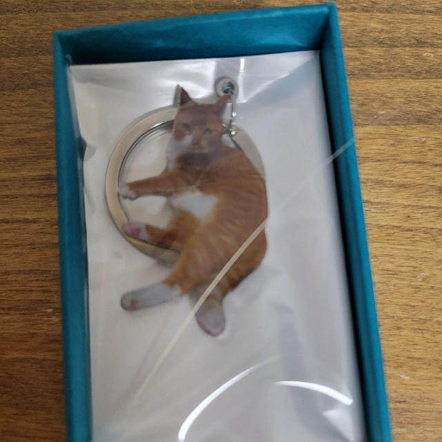 メイちゃんのひげをしまったというキーホルダーの箱／ろしあん・ぶるーさん（@eozddz7nO9JIHDr）提供