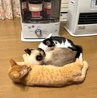 みんなで仲良くあったかいね（提供：ソレイユさん）