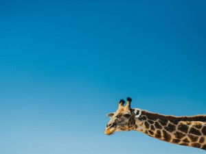 我が子がいじめられていると知ったら「産まなきゃよかった」と思う、わけないだろ！