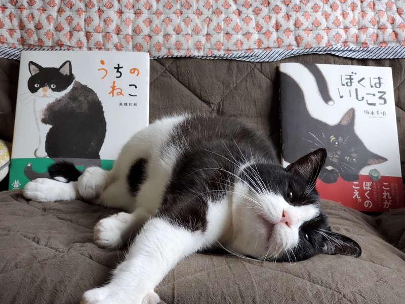 家猫になってからの生活を描いた高橋さん作の『うちのねこ』（左）と、保護前の野良猫時代の心模様を描いた坂本さん作の『ぼくはいしころ』。坂本さんの本では黒猫になっていますが、どちらもシノビちゃんがモデルです「併せて読んでも面白いと僕は思うんだ」。絵とストーリーから深い愛が伝わります（高橋さん提供）