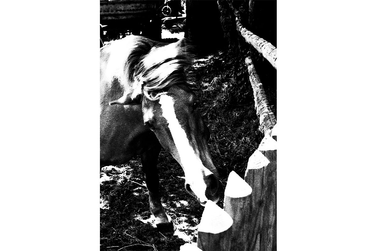 なんでもない壁。だけど 永瀬正敏が撮ったマレーシア(332) | 朝日新聞