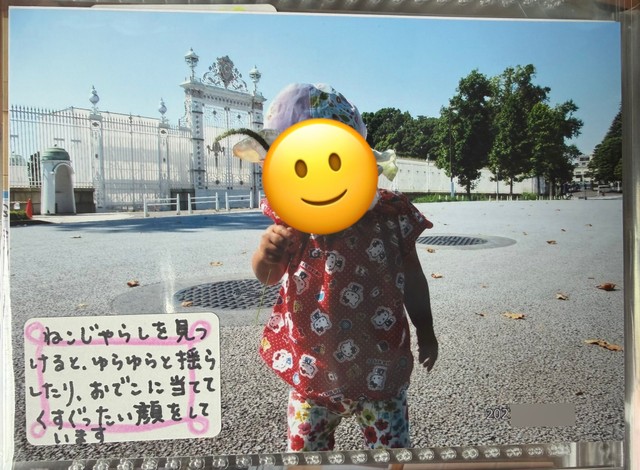 将来アルバムをめくり、どのように感じるだろうか（あざらしさん提供）