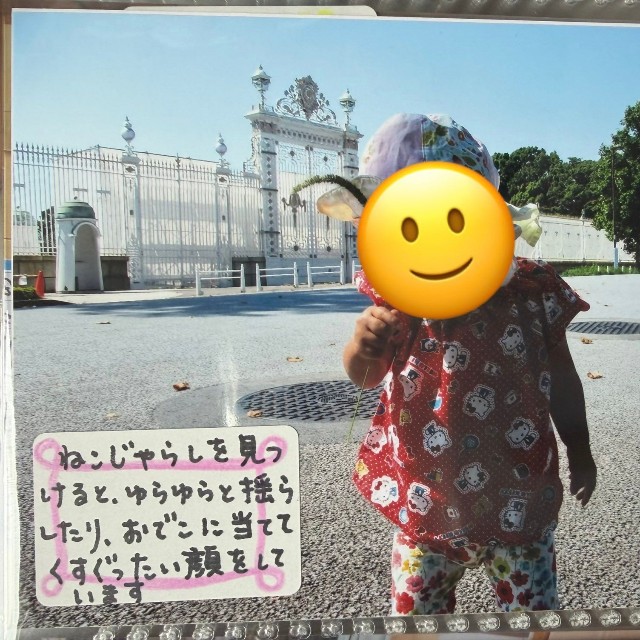 将来アルバムをめくり、どのように感じるだろうか（あざらしさん提供）