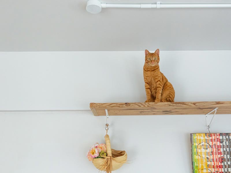 DIYというからすごい！