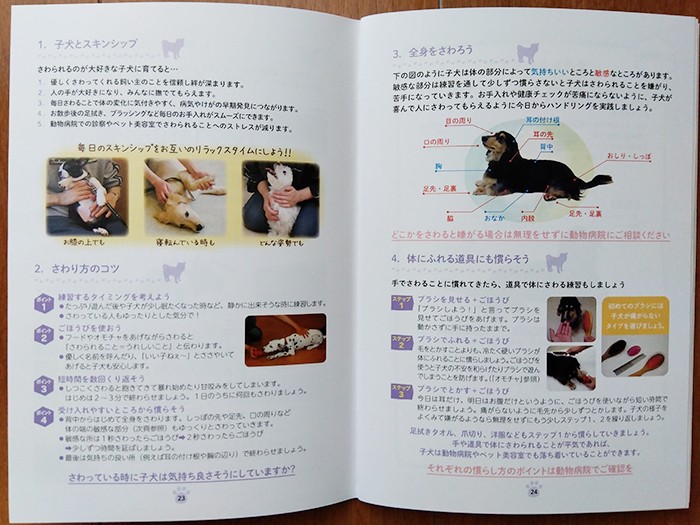 『子犬の本』『子猫の本』では写真を多用し、子犬や子猫を飼う人に必要な知識をわかりやすく紹介。ちなみに前村さんは尾形先生とともに、VSJカレッジというプロ向けのオンラインセミナーで、動物行動学の講師も務めている