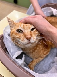 「1日でも長く生きてほしい」と今村さん（画像提供：今村かなえさん）