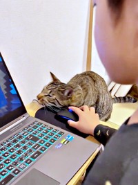 マウスにスリスリするzozoくん（画像提供：zozoさん）