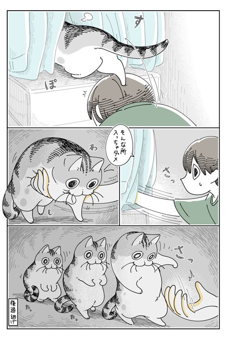 【漫画】「クローゼットを開くと見にくる」（提供：キュルZさん）